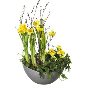 PLANTERING PÅSKHÄLSNING