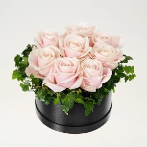 ROSA ROSBOXEN
