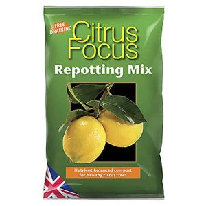 Citrus Focus – citrusjord